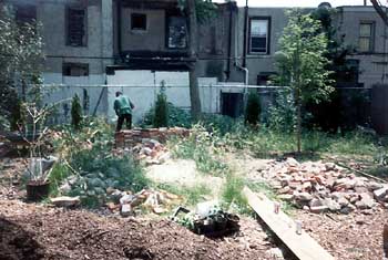 clearing bricks