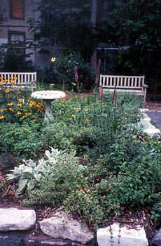 view of raised bed with birdbath